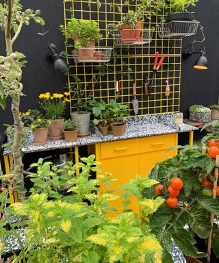 balcony garden with yellow furniture at chelsea flower show 2022