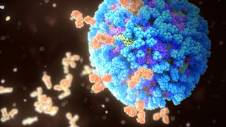 An illustration of the influenza virus (giant blue sphere) surrounded by human antibodies (small y-shaped orange shapes).