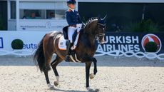 Torveslettens Titanium RS2, pictured at Aachen in 2022, has undergone colic surgery