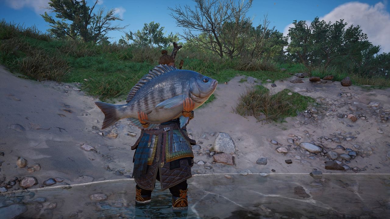 Assassin's Creed Valhalla