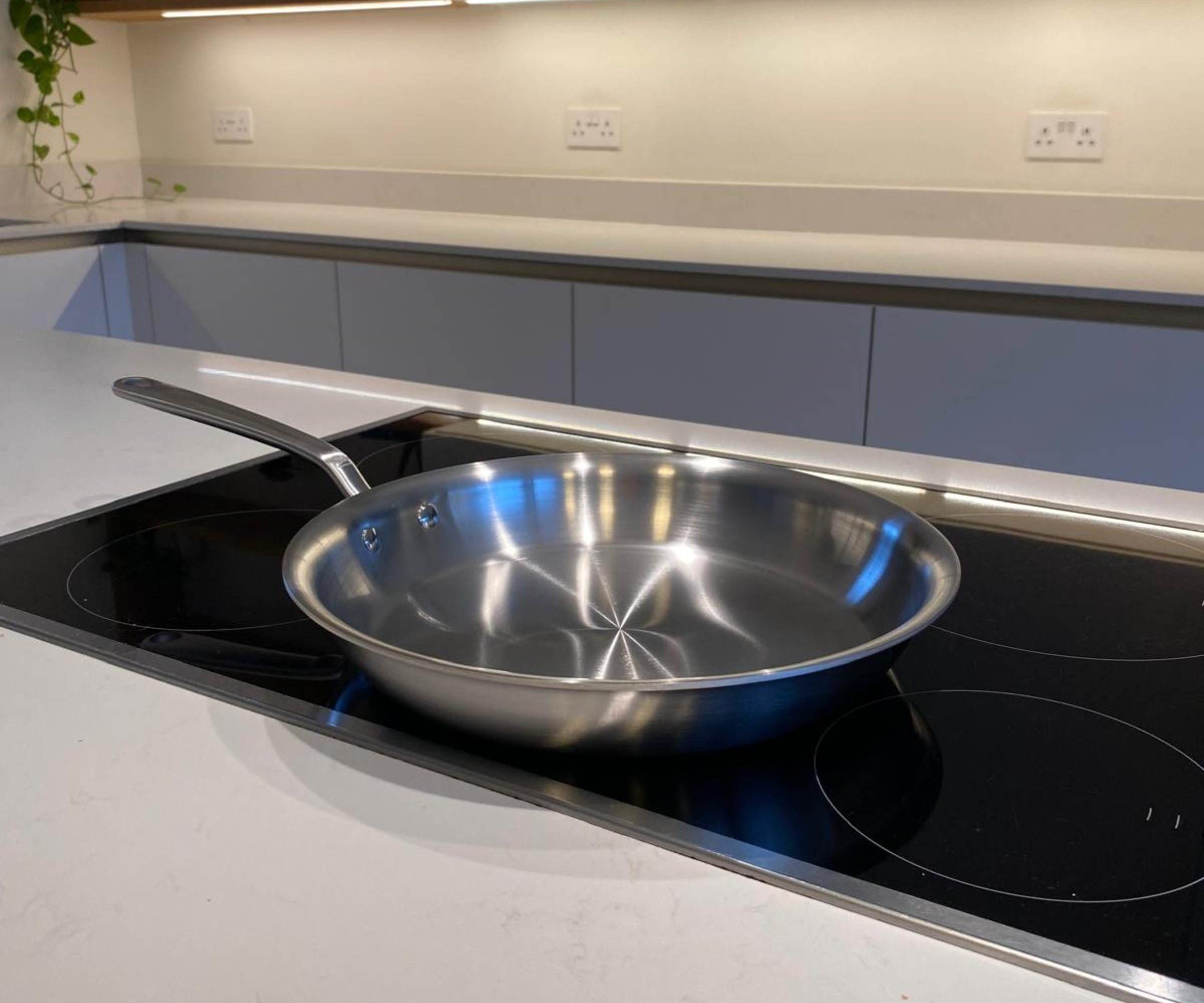 Made In stainless steel pan