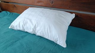 The Fine Bedding Company Allergy Defence Pillow ready to be tested, lying on a bed made up with a teal sheet and wooden headboard