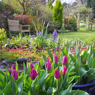 A beautiful garden filled with potted tulips