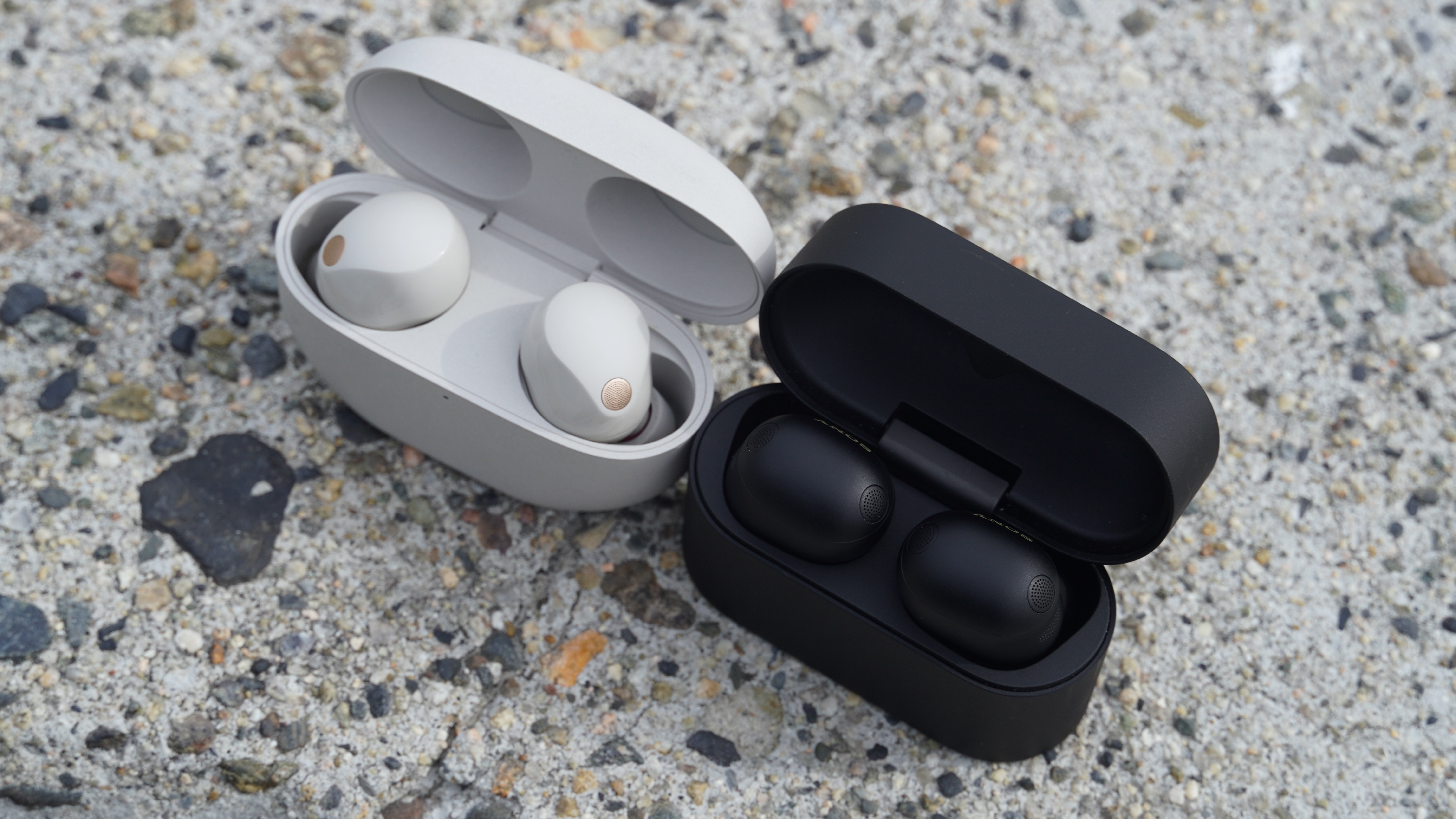 The Sony WF-1000XM5 in Platinum Silver compared to the Sony WF-1000XM6 in Black.