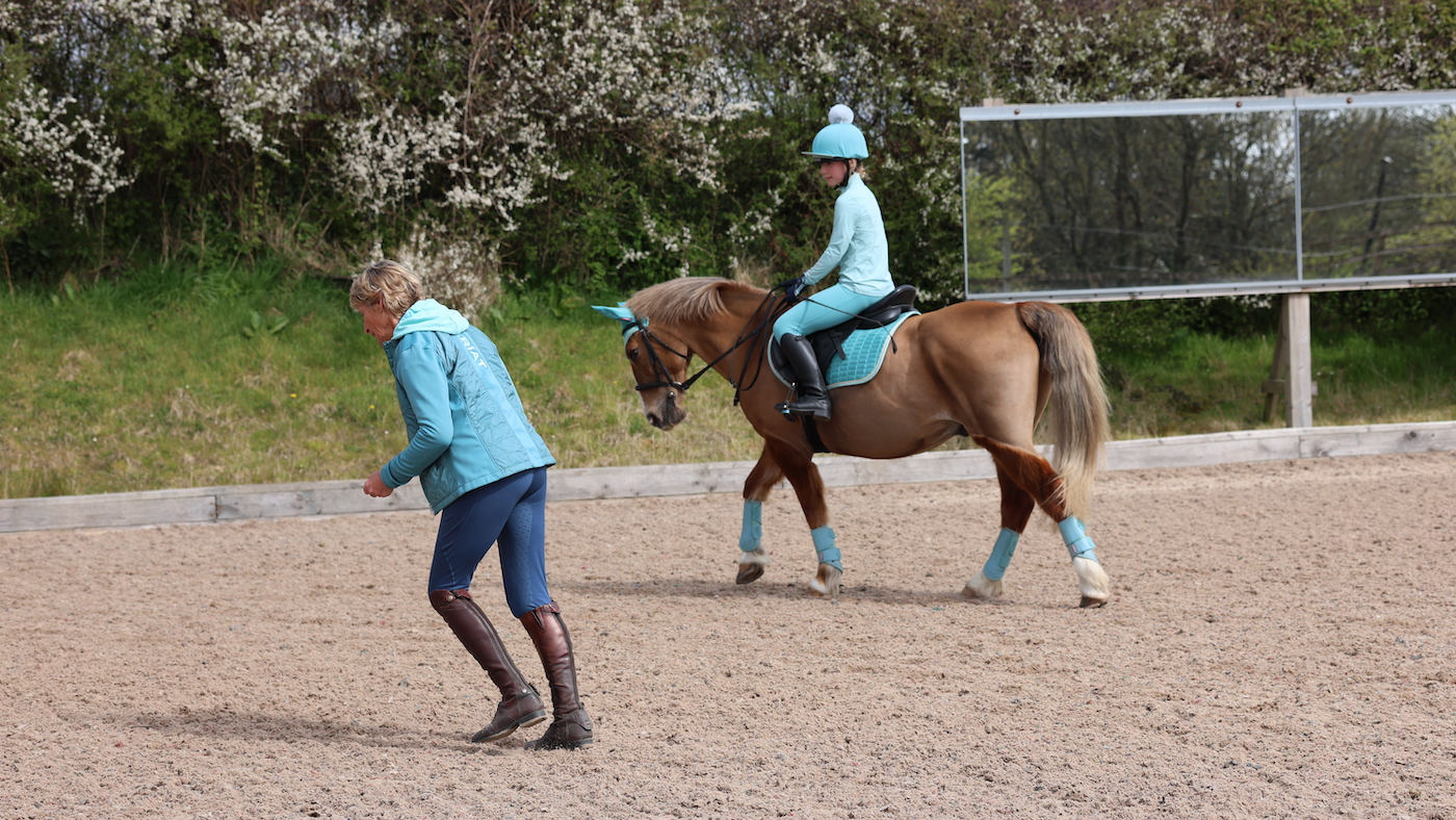Training with Mary King - riding lesson