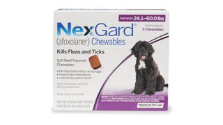 NexGard Flea treatment for dogs
