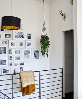 Metal banister in the landing with hanging plant and photo framed on the walls