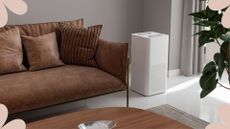 picture of an air purifier in living room with leather sofa and table