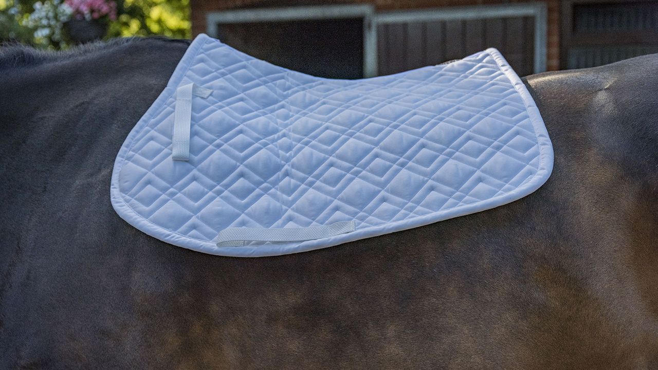 Eskadron Brilliant saddlecloth review
