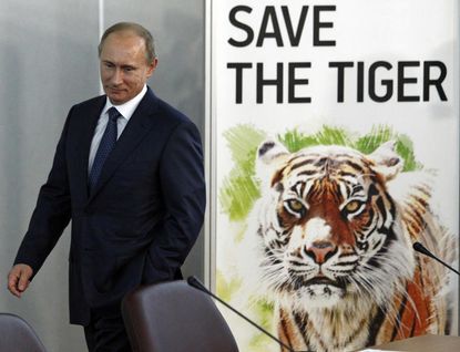 Officials in China frantically trying to track down Vladimir Putin's tiger