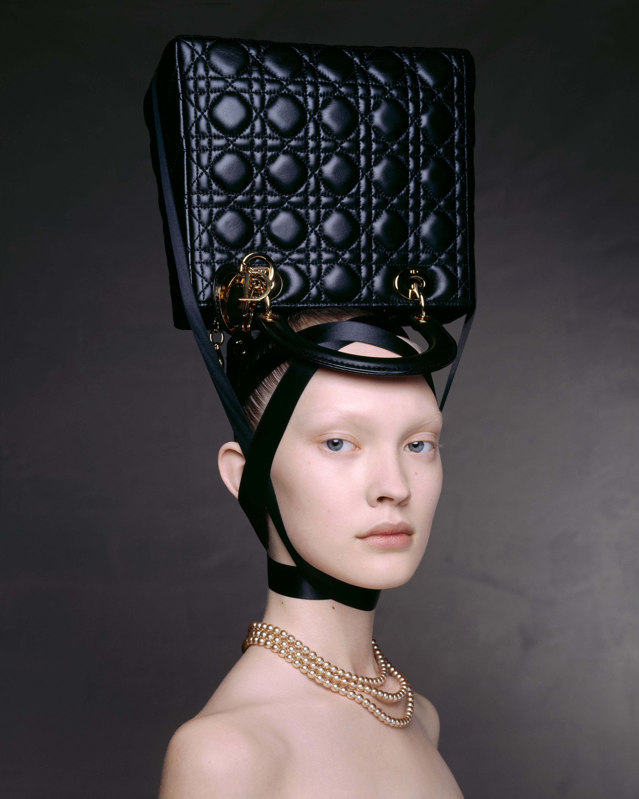 Carine Roitfeld Dior House of Craft