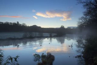 A winter's day at Winkworth Arboretum, Surrey.