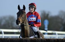 Sprinter-Sacre-2-27-12-13.jpg