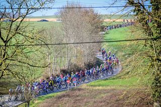 The pack cycle through the Belgian countryside as they compete in the Kuurne-Brussels-Kuurne one day cycling race, 196,9 km from Kuurne to Kuurne via Brussels, in Kortrijk on March 2, 2025. (Photo by DIRK WAEM / Belga / AFP) / Belgium OUT