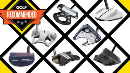 Best Mallet Putters