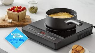 Amazon portable induction cooktop