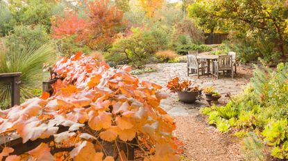 A fall garden with warm seasonal hues around a stone patio with a table and chairs