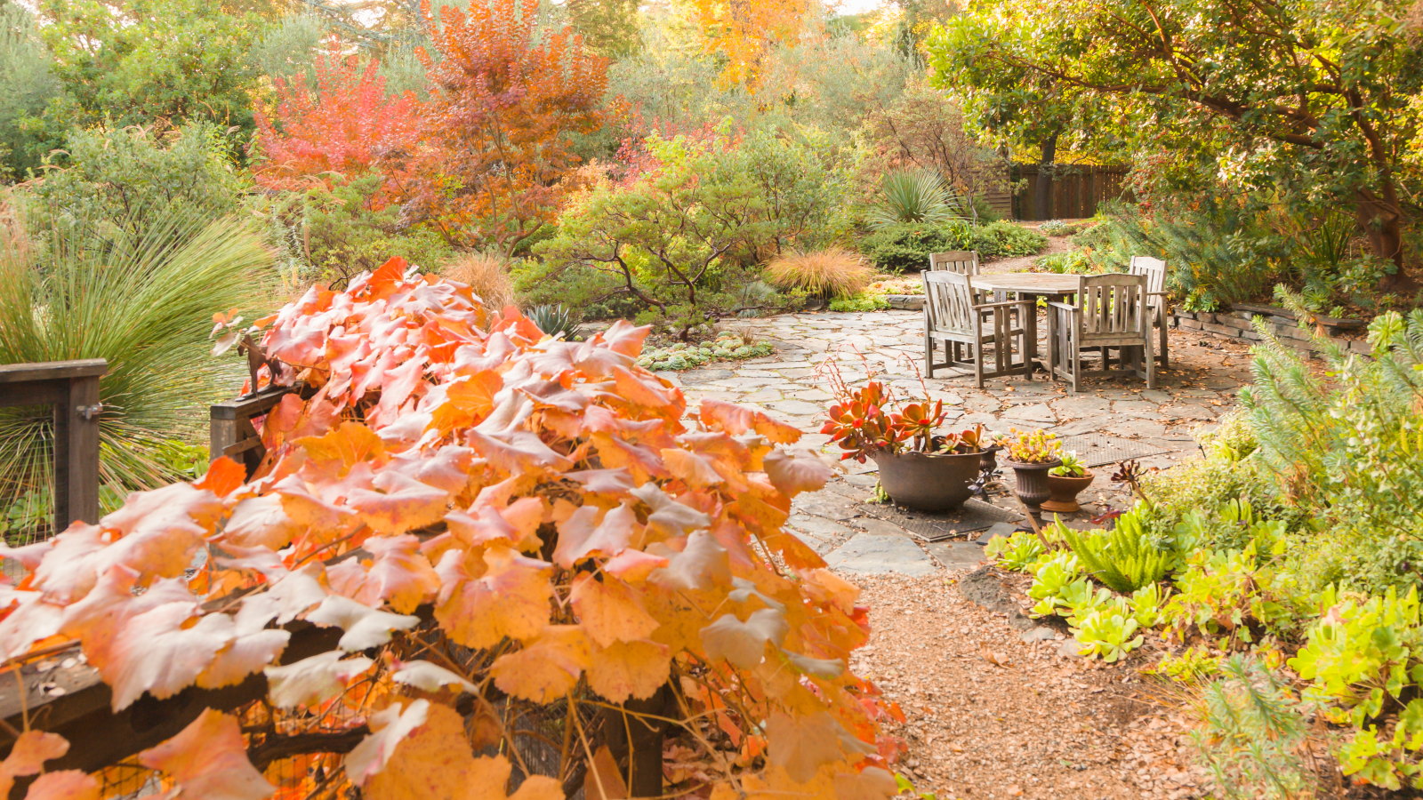 A fall garden with warm seasonal hues around a stone patio with a table and chairs