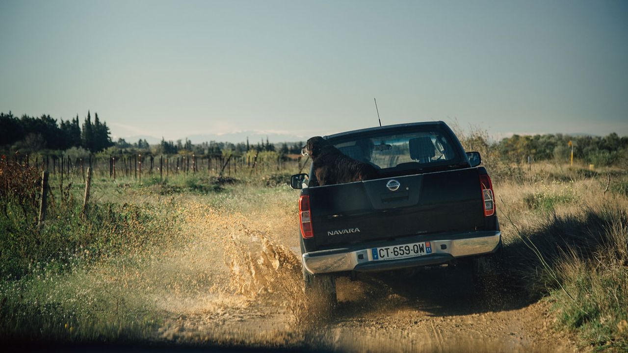On the road to the truffle grove, near Beziers in southern France