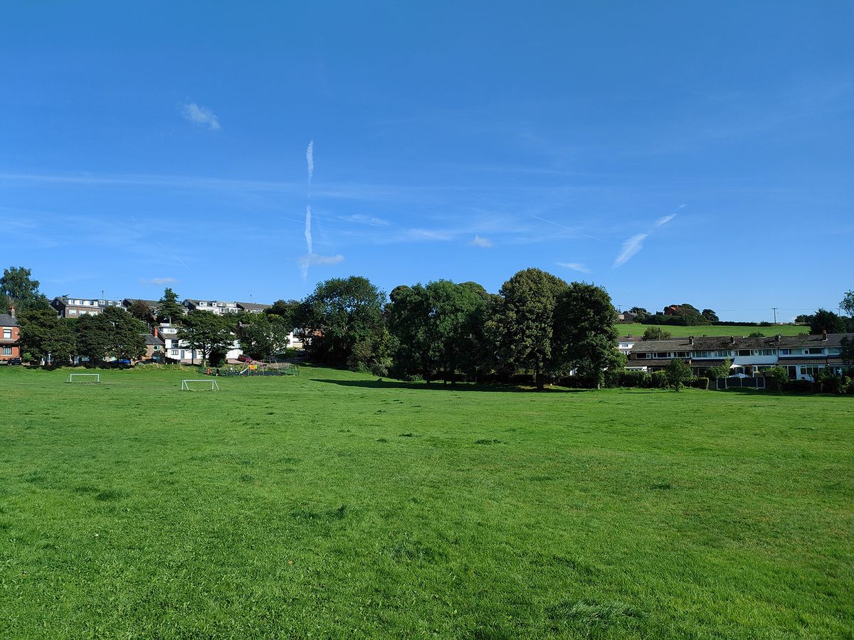 Realme GT Master Edition camera samples &ndash; a green on a sunny day.