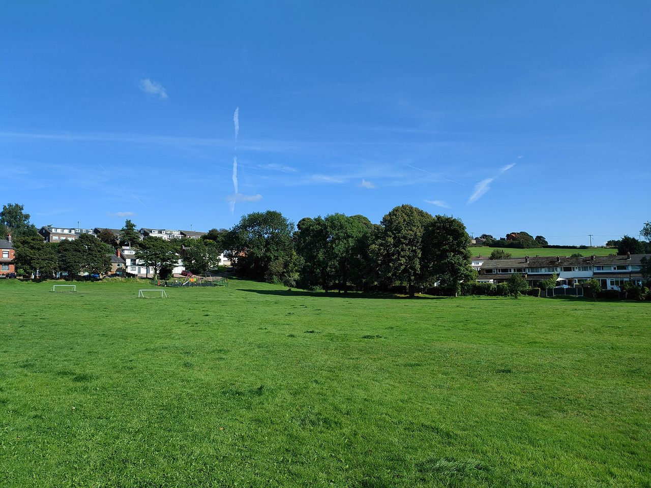 Realme GT Master Edition camera samples &ndash; a green on a sunny day.