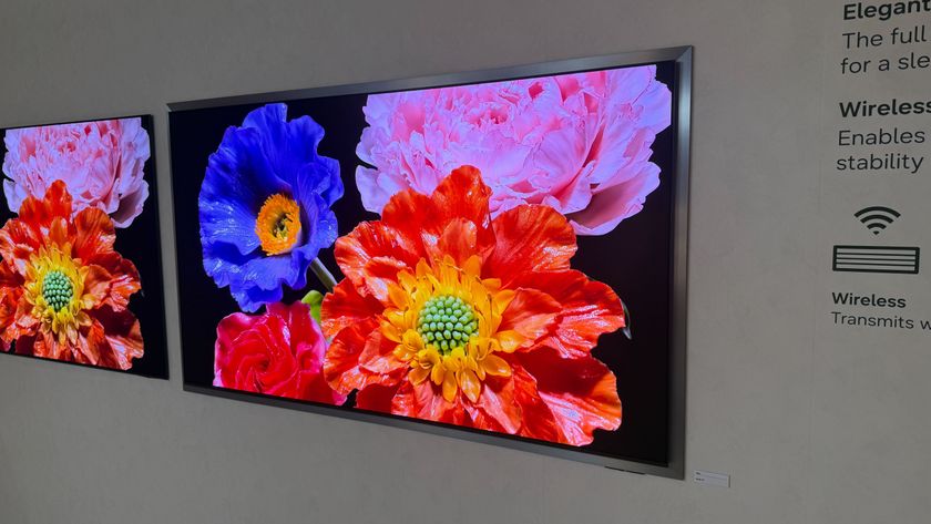 A wall-mounted Samsung S95H showing colourful flowers