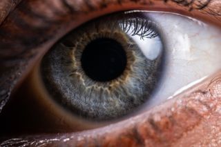 A close-up of an eye.