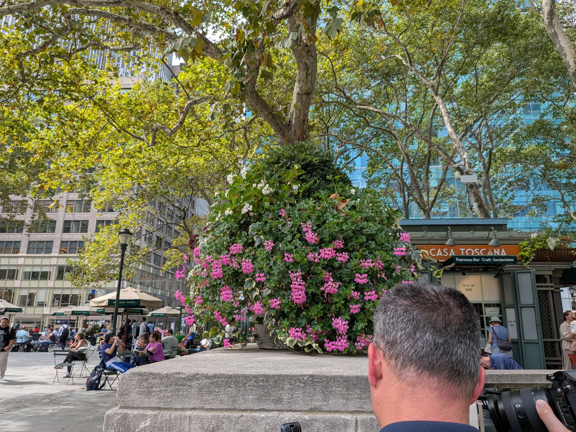 Google Pixel 10 zoom test sample.