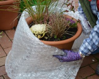 Insulating a winter container using bubblewrap