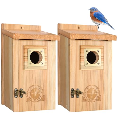 Sisterbird 2 Pack Bird Houses for Outside Clearance With Copper Guard, Cedar Bird House Outdoor, Bluebird Finch Swallow Wren Chickadee Assembly Required