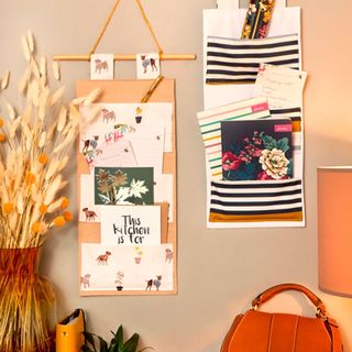 pink wall with hanging storage and orange bag