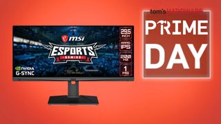 MSI Monitor