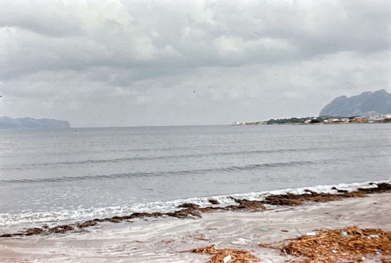 Test scans with the Rybozen Portable Slide Scanner