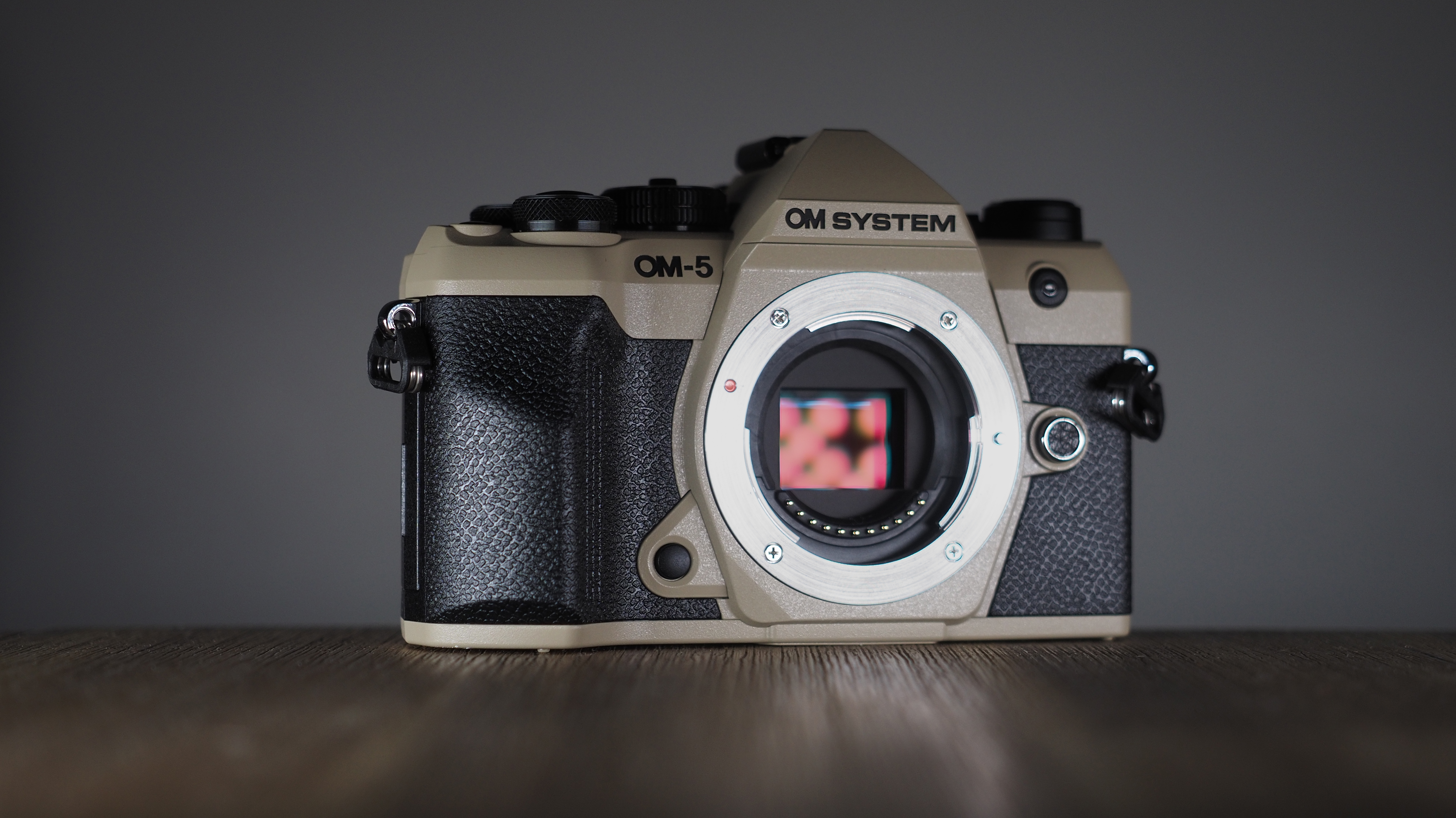 OM System OM-5 Mark II on a wooden surface with an Olympus M.Zuiko 12-45mm lens