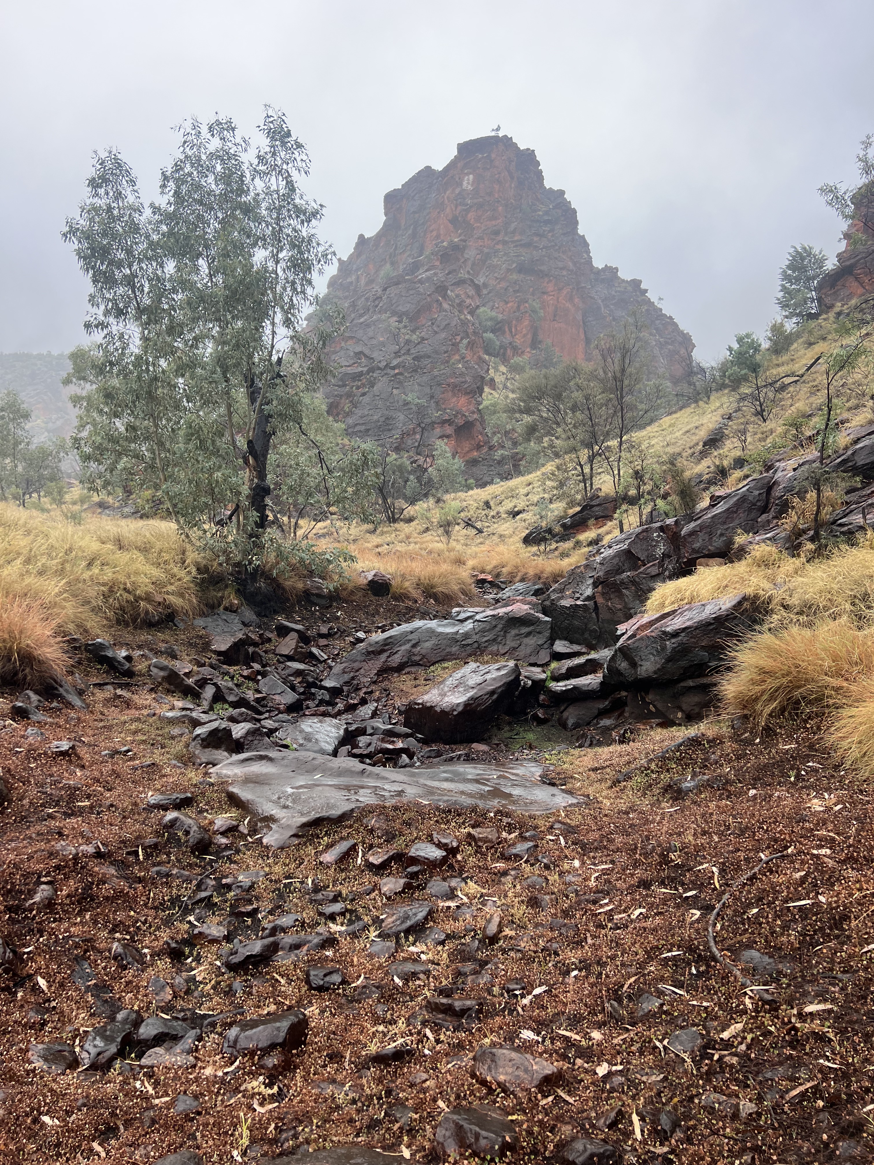 GuruShots - Nature&rsquo;s Masterpiece 2026