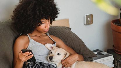 Woman sitting on the sofa petting her dog next to a Hive thermostat mounted on the wall