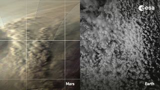 A comparison of the cloud patterns of Mars (left) at the Martian north pole in May 2019 and those of our own planet (right).