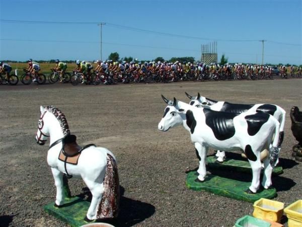 Some local's come out to watch the race