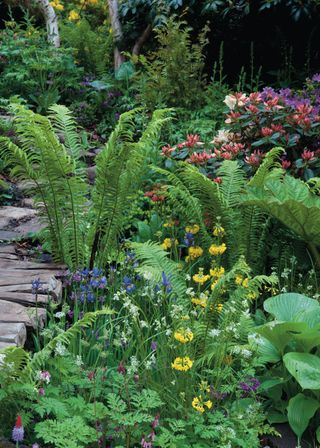 Pathway in shaded garden, with a border full of lots of colorful flowers