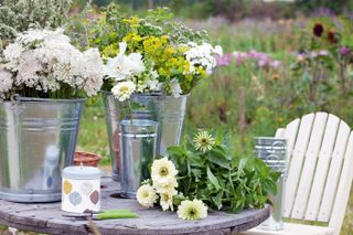 cut flowers in buckets and on a table