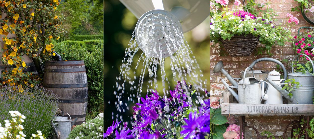 three rainwater harvesting ideas