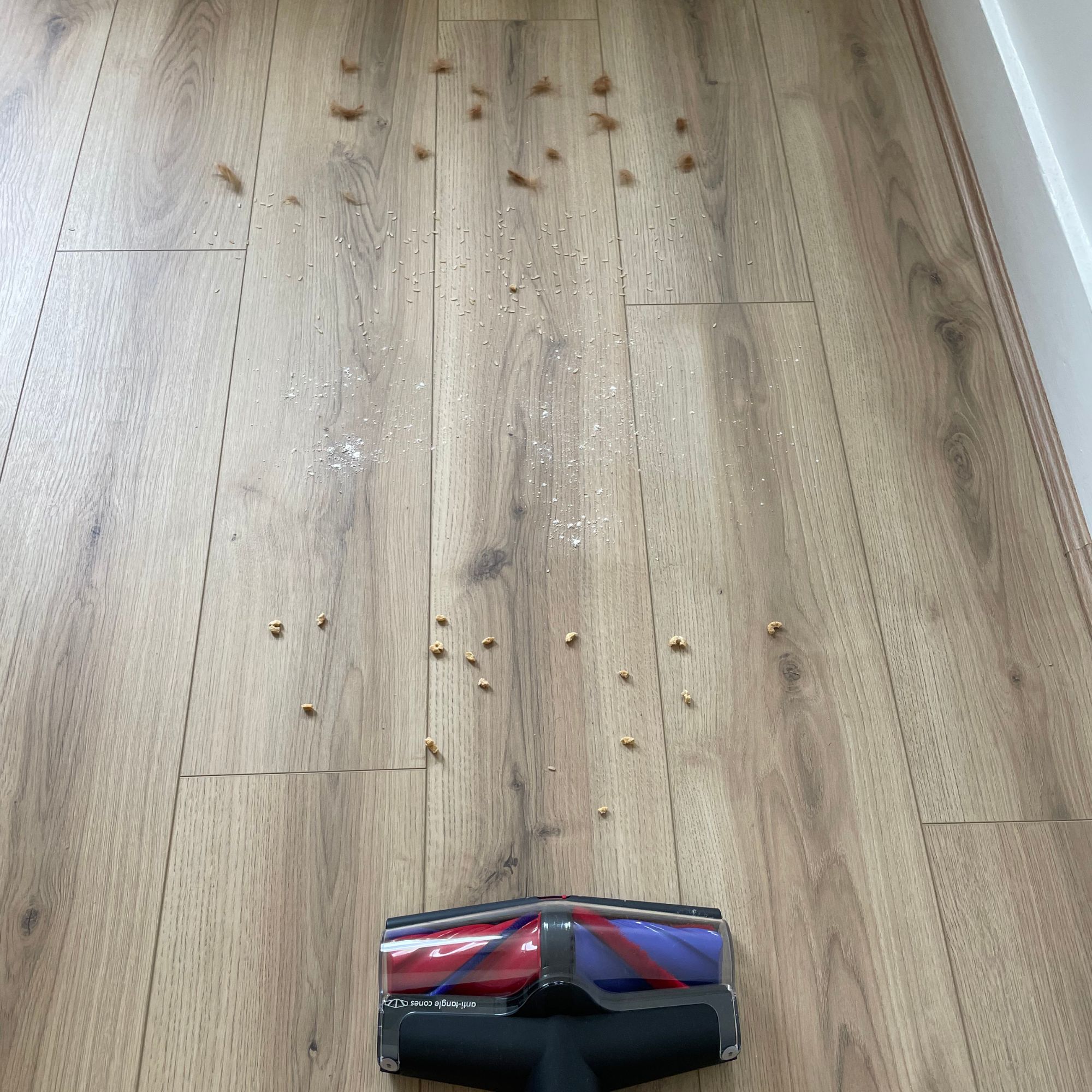 Dyson V16 Piston Animal on wood-effect flooring that's covered in debris