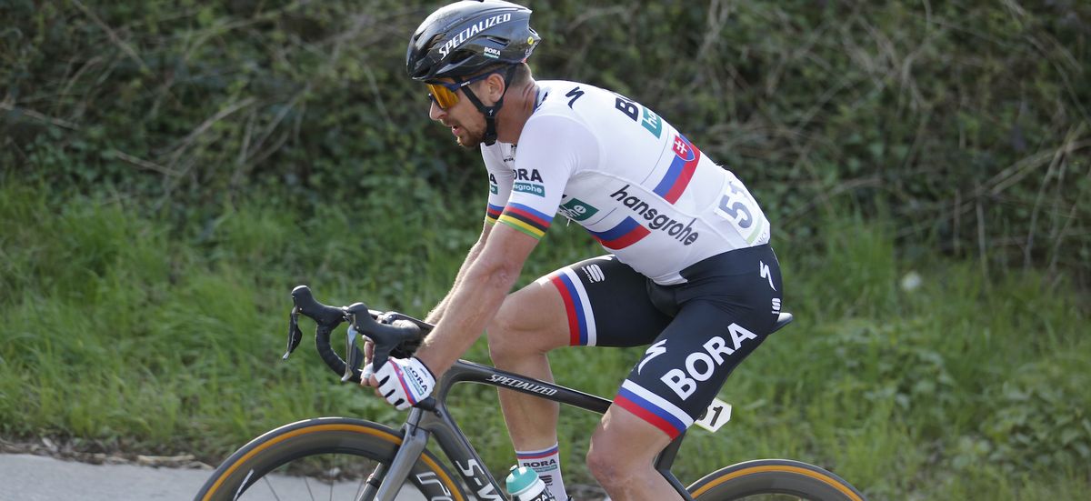 Stray water bottle destroyed Peter Sagan's E3 chances, says team ...