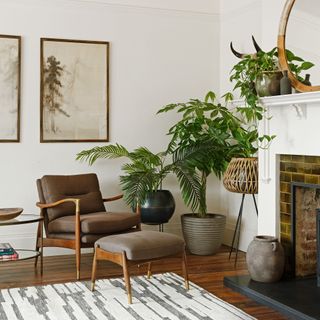 a neutral living room with a mid-century style armchair fireplace and a selection of houseplants