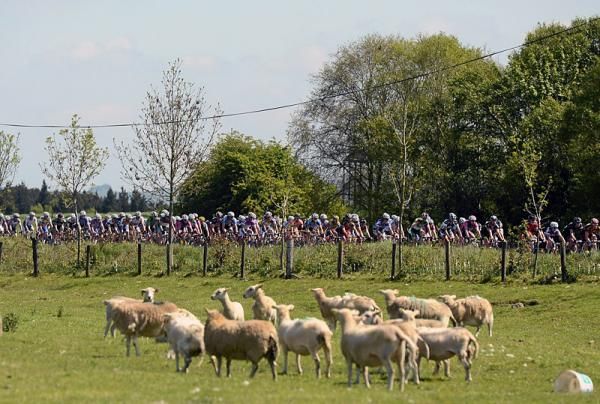 Riders on the approach to Thurles, Co. Tipperary, during the second stage of the 2012 An Post R&aacute;s.