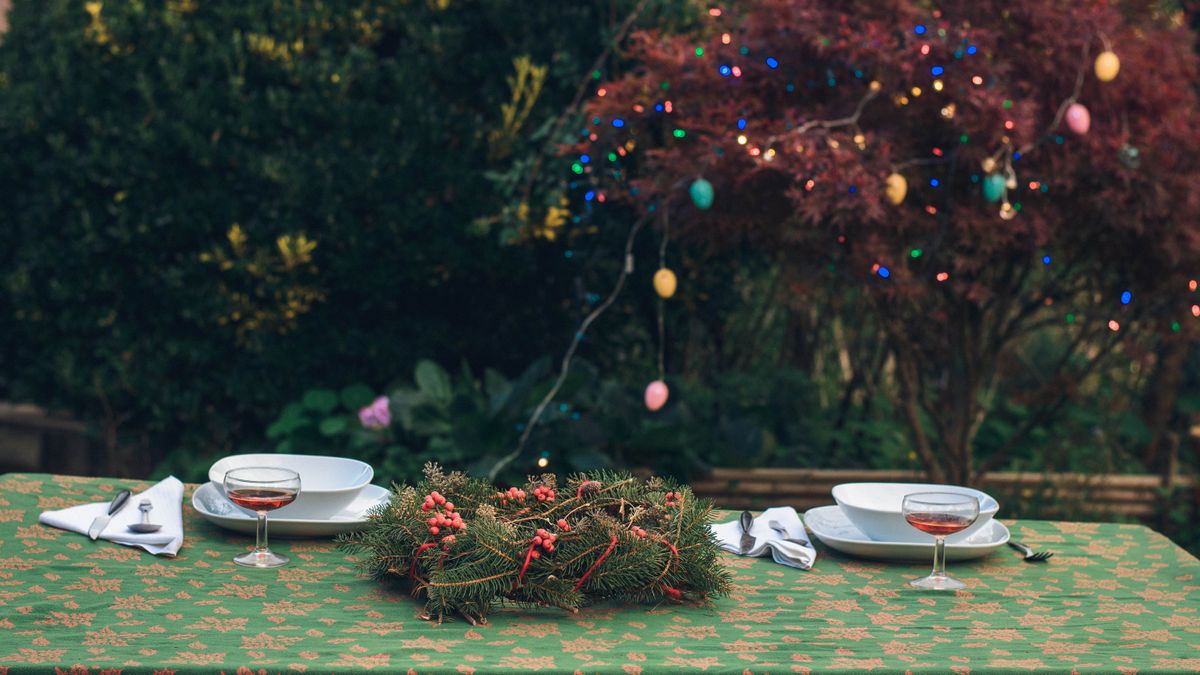 Taniya Nayak's outdoor Christmas decorating secrets Gardeningetc