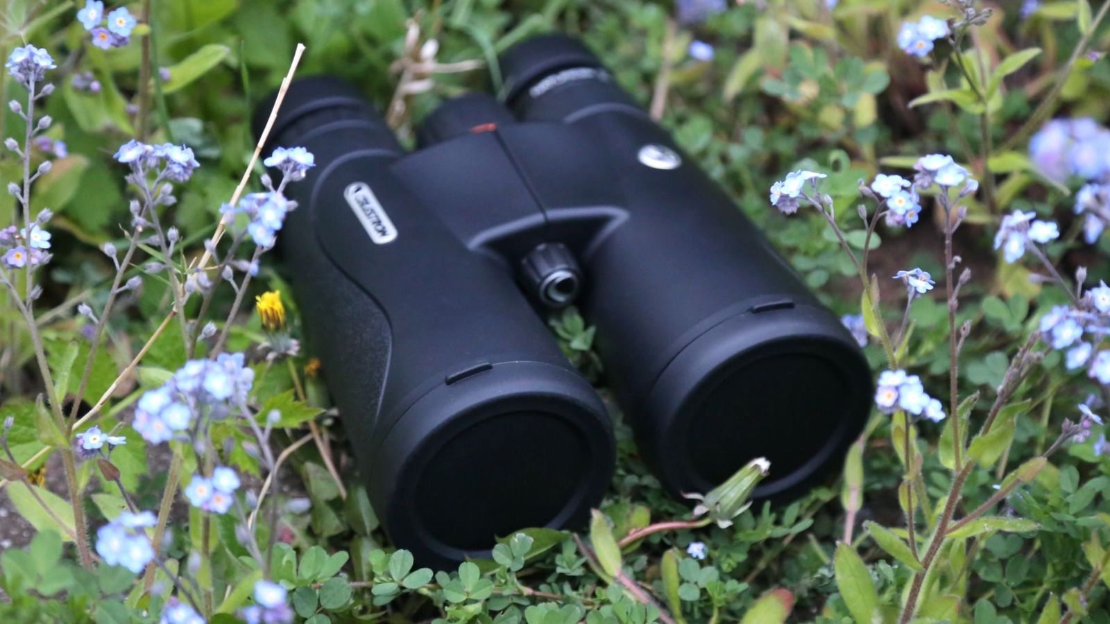 Best binoculars 2024 get a closer look T3