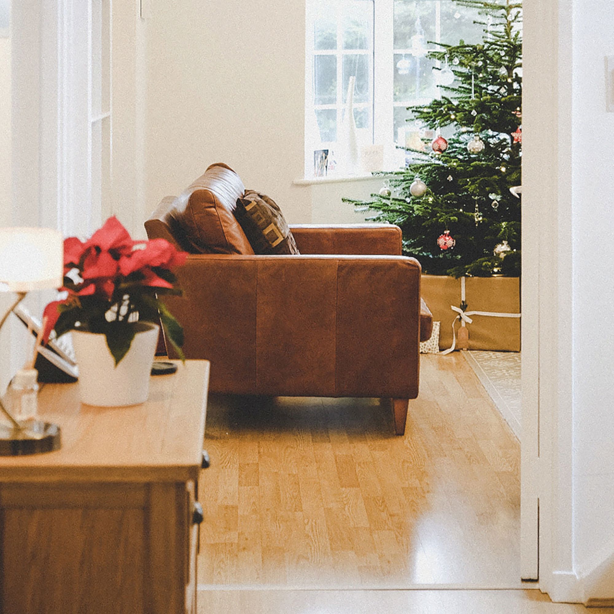 Poinsettia plant on table in hallway