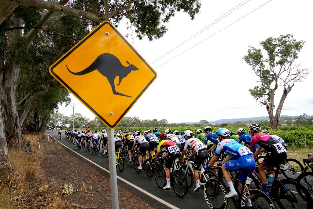 WOODSIDE AUSTRALIA JANUARY 28 A general view of Carter Turnbull of Australia and Team Inform Tmx Make Dalton Stretton of Australia and Team Va Pro Racing Tristan Saunders of Australia and Team Inform Tmx Make Callum Scotson of Australia and Team BikeexchangeJayco and the peloton compete while a sign posted attention kangaroos during the 2nd Santos Festival Of Cycling 2022 Mens Elite Stage 2 a 1129km stage from Mount Lofty to Onkaparinga Valley Road Woodside TourDownUnder on January 28 2022 in Woodside Australia Photo by Daniel KaliszGetty Images