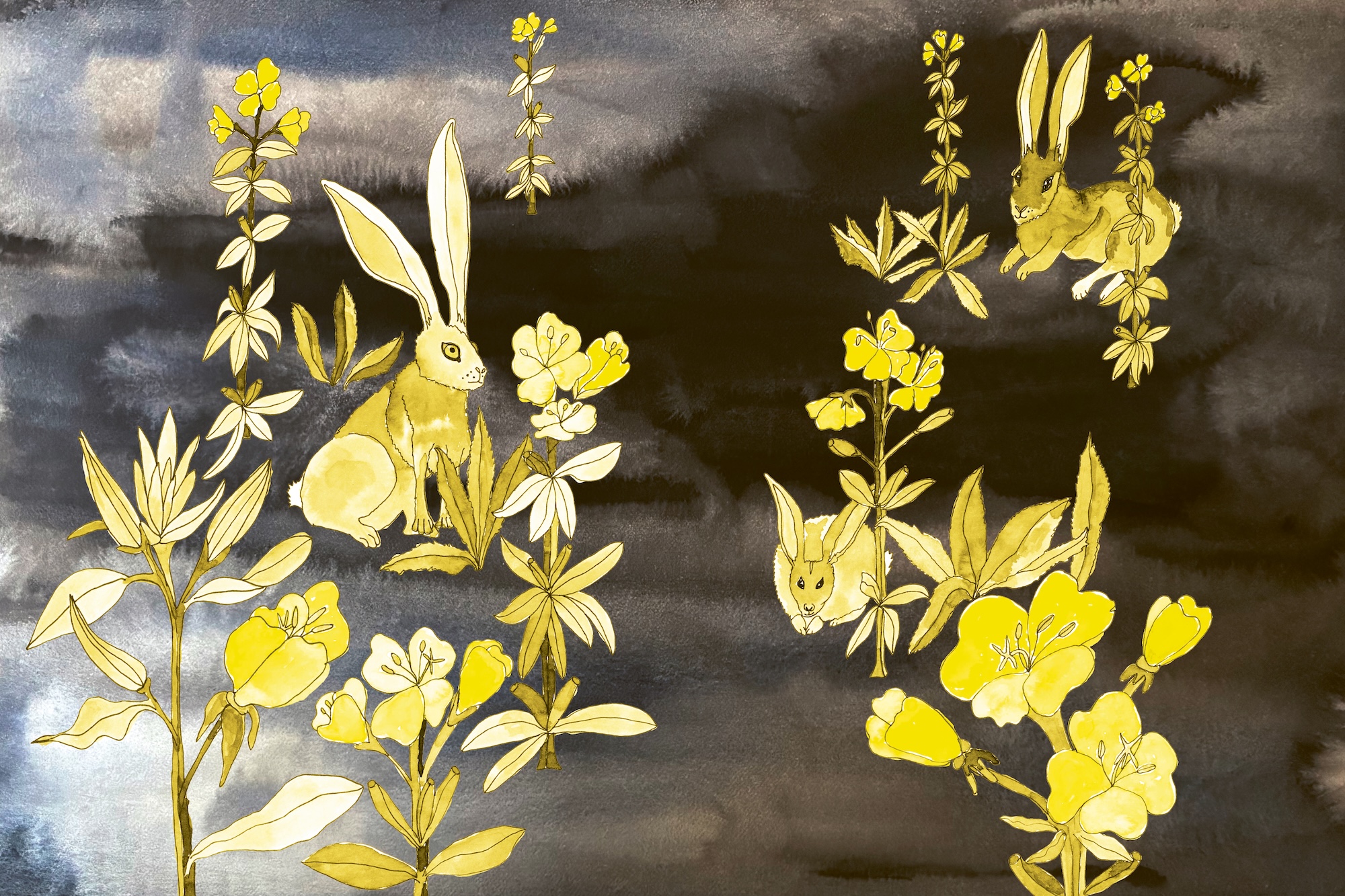 oralee clare crespo book